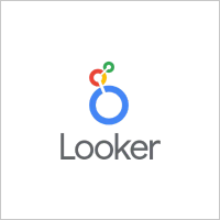 Looker Partnership