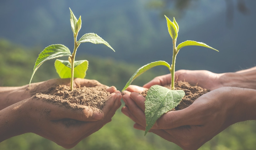 ESG data collection and management