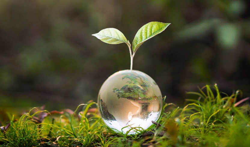 Carbon accounting & reporting