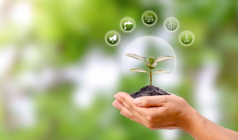 ESG reports aligned with global frameworks